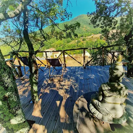 Centre Harmonia Orman Evi