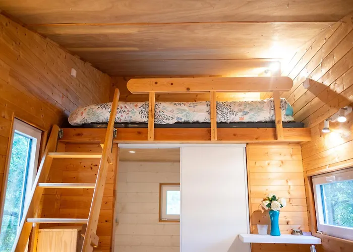 Centre Harmonia Lodge